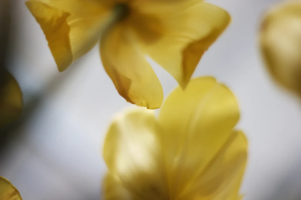 Five Ways to Reset Your Day