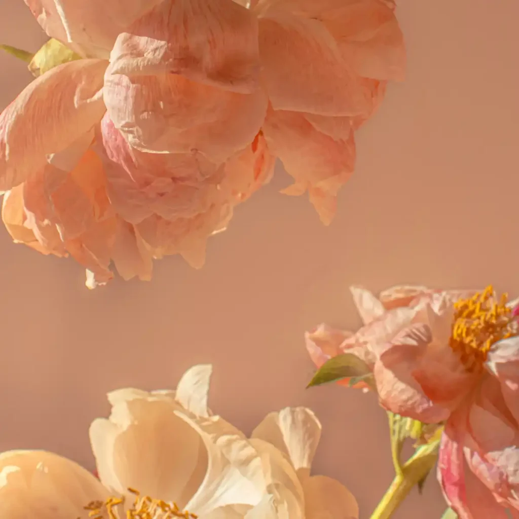 helen-van-rOgYjKS-uZs-unsplash