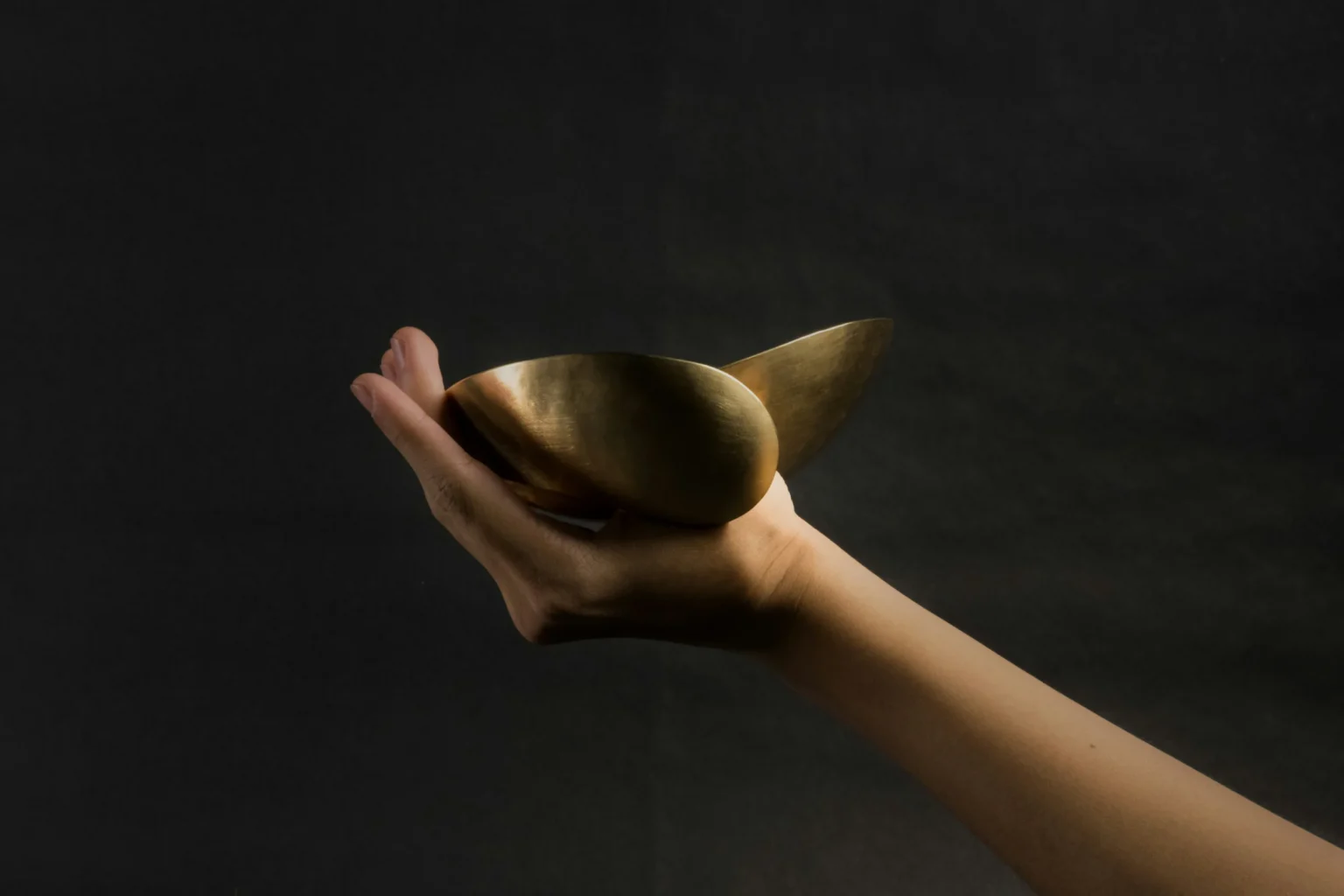 spencer-liao-7YfxHhUdRdk-unsplash