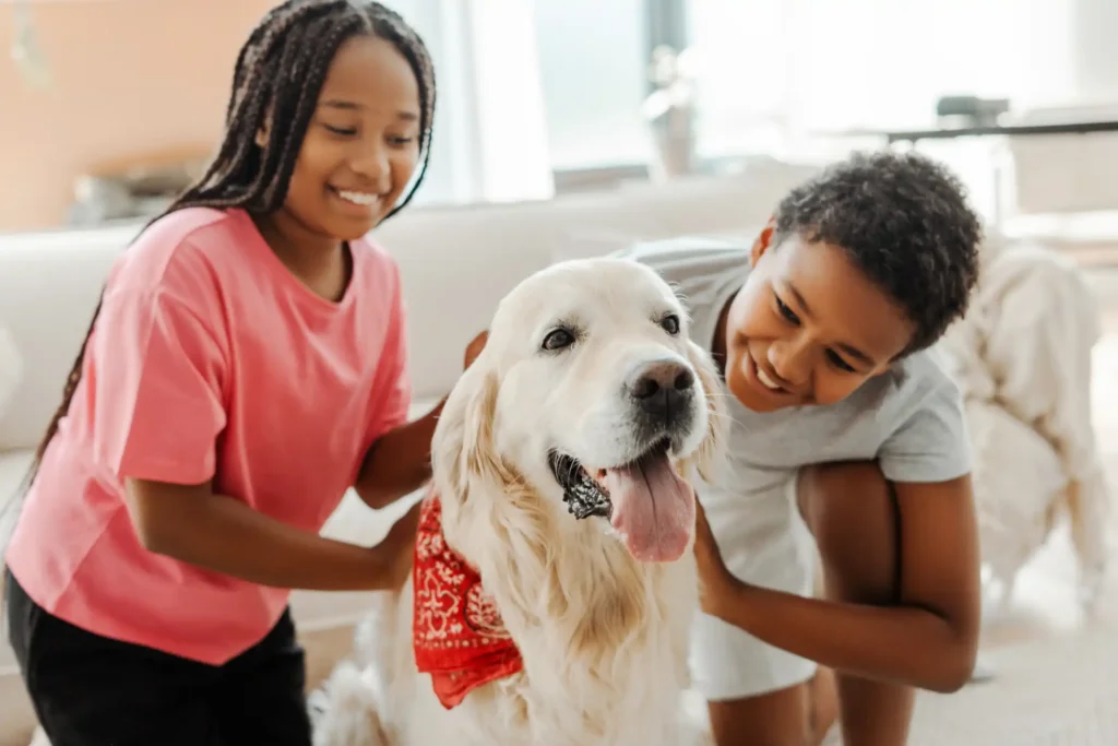 Simple Ways to Prevent Fleas