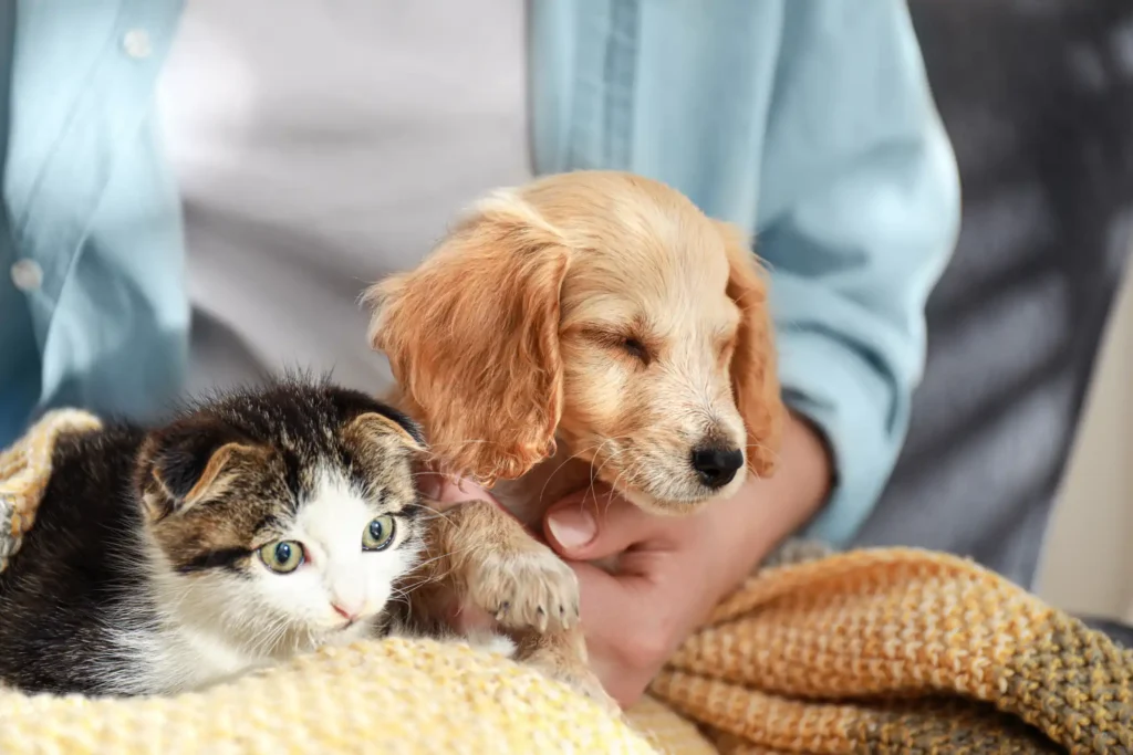 Choosing the Right Pet Food
